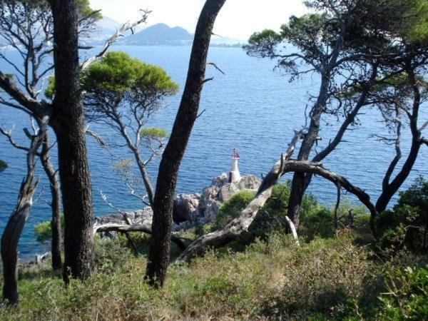 Romantic Apartment Donje Celo Εξωτερικό φωτογραφία